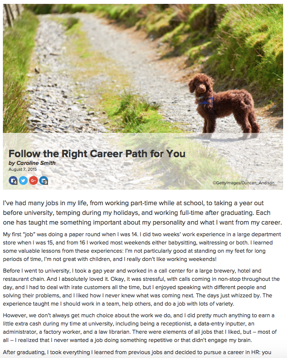 mt-blog-follow-the-right-career-path